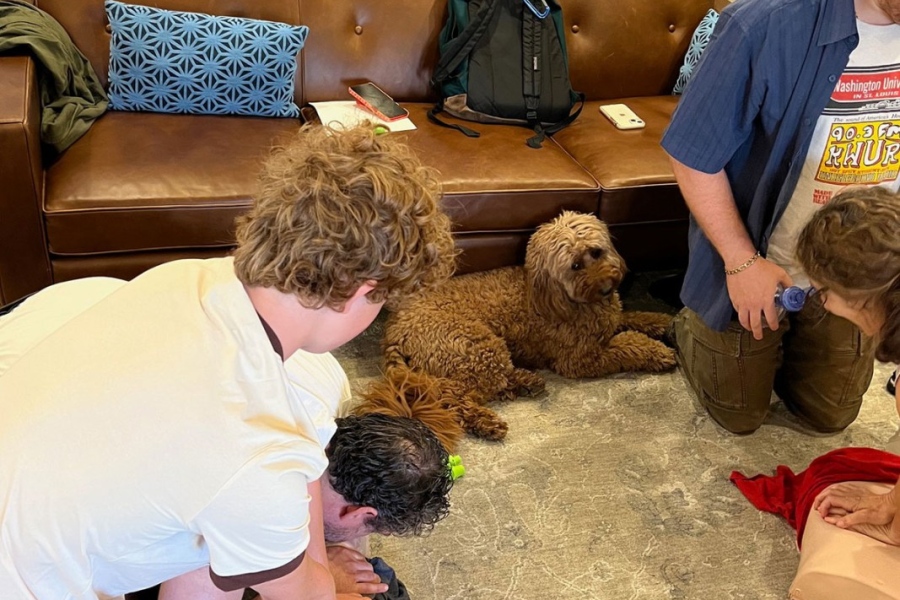 At Home CPR & AED Training in Lakeview, Chicago 
Chicago CPR and AED training in Lakeview Chicago