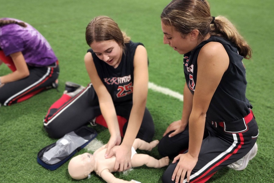 KR Fast Pitch Arlington Heights Modern Style Cabinets